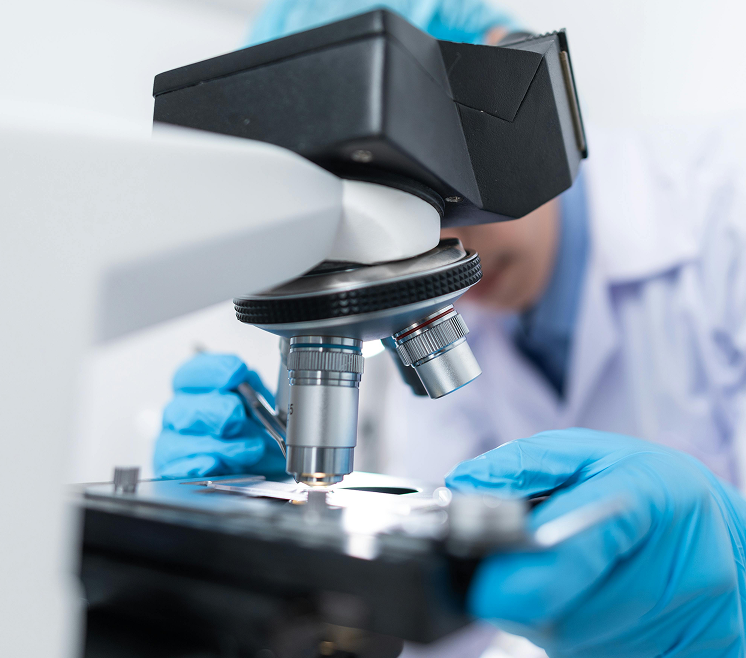 image history paperdoc